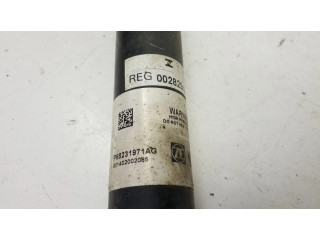 Задний aмортизатор      