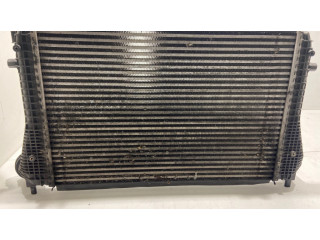 Интеркулер 1K0145803T, N6897001 Seat Altea 1.9