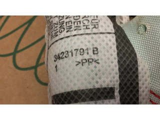 Боковая подушка безопасности 50568186, 34231791 Alfa Romeo Stelvio