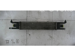 Интеркулер  0000050540161   Fiat Punto Evo 