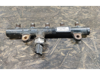 Топливная рампа 9681649580   Ford Kuga I 2.0 