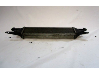 Интеркулер 55700449 Fiat Grande Punto