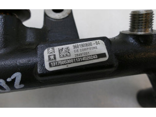 Vstřikovací lišta 9681909680 Fiat Scudo