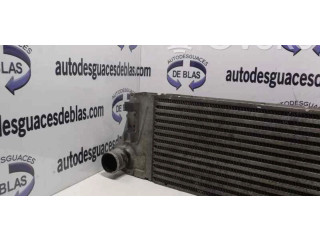 Интеркулер     Renault Clio II 