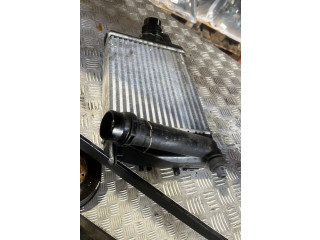 Интеркулер Dacia Duster