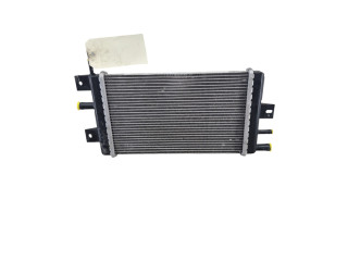 Модуль управления BSM 214109411R   Dacia Spring    