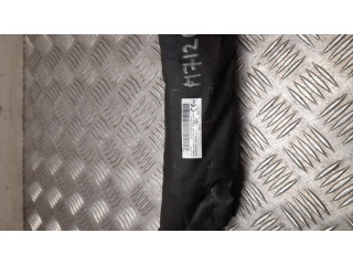 Боковая надувная подушка