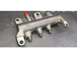 Vstřikovací lišta Renault Vel Satis