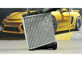 Интеркулер 95511080301, 95511080301 Porsche Cayenne (9PA)