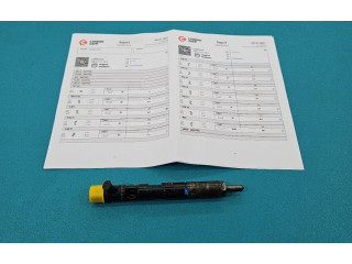 Форсунка EJBR05101D, IMPRK1439391 Dacia Logan I