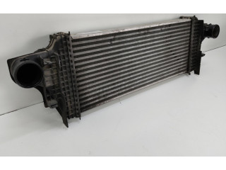 Интеркулер  A1645001900, A1645001900   Mercedes-Benz R W251 