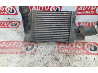 Интеркулер     Dacia Dokker 