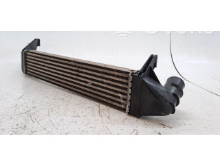 Интеркулер 8200409045 Dacia Logan I