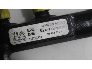 Топливная рампа 113262413   Citroen C3  