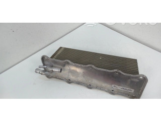 Интеркулер  04E145749B, 04E145749F   Audi A3 S3 8V 