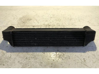 Интеркулер  204D4   BMW X3 E83 