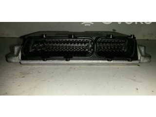 Řídící jednotka 038906018FE, 0281010064 Volkswagen Passat Alltrack 1999