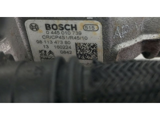 Vstřikovací čerpadlo 9811347380, 0445010739   Citroen Berlingo     