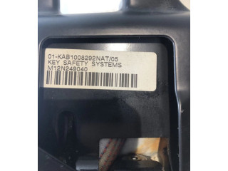 Подушка безопасности для колен 8T0880842D, 8T0880842A   Audi A5 8T 8F