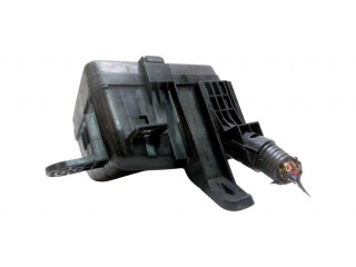   Pojistková skříňka 243843NA0A   Nssan Leaf I (ZE0) 2014