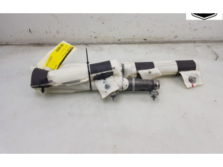 Надувная подушка для крыши 103675700H, 103675700H Tesla Model X A0003K8775D