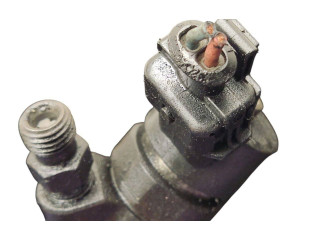 Vstřikovač 0445110239 Citroen Berlingo