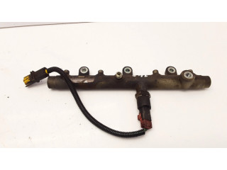 Vstřikovací lišta 0445214019 Citroen Xsara pro naftový motor 2.0