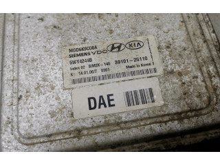 Řídící jednotka 3910125110, 5WY4244B KIA Magentis 2006