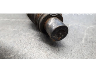 Форсунка lcr6733401d    Peugeot Expert   