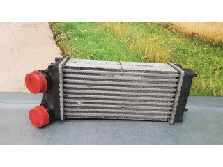 Интеркулер 9648551880, 876923J Citroen C4 I 1.6