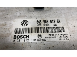 Блок управления двигателя 045906019BR, 0281012318 Skoda Fabia Mk1 (6Y)