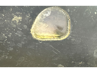 Турбина Зеркало (управляемое электричеством) Citroen C5 Aircross для двигателя 10FBJ