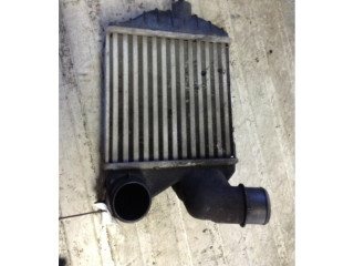 Интеркулер Fiat Idea 2.9