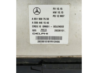 Řídící jednotka A6519007500 Mercedes-Benz C W204 2012