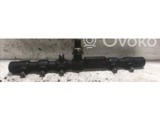 Топливная рампа A6650700295, A6650700295   SsangYong Rexton I  