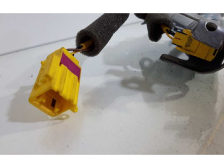 Подушка безопасности двери 3D1880741C Volkswagen Phaeton