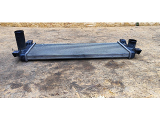 Интеркулер 621970, 2371109050 SsangYong Actyon