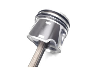 Píst 263A8.000 Fiat Doblo 263A8.000