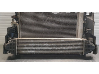 Комплект радиатора 880655G, 6G919L440DC Volvo S80