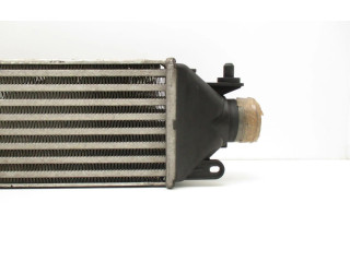 Интеркулер     Fiat Punto (199) 