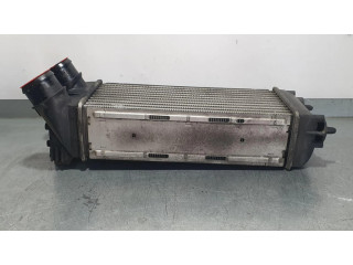 Интеркулер 9656503980 Citroen C4 I 1.6