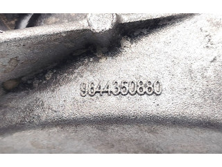 Čerpadlo oleje 9644350880   Citroen Xsara Picasso   RHJ(DW10BTED4)