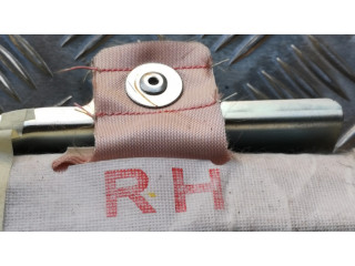 Боковая подушка безопасности BAMPT11724, WYL2N019025   Subaru Outback