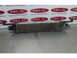 Интеркулер     Fiat Punto (199) 