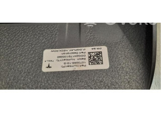 Дисплей    167328810B   Tesla Model 3