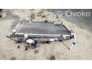 Панель радиаторов (телевизор)