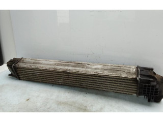 Интеркулер 8200880552 Dacia Duster