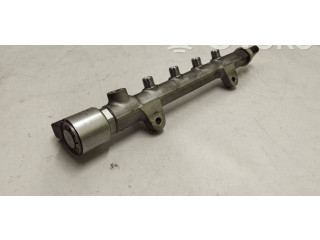 Топливная рампа A6510700495, A6510700700   Mercedes-Benz E W212  