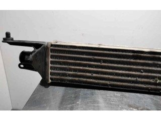 Интеркулер     Fiat Grande Punto 1.2