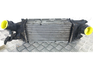 Интеркулер  00000384G9   Citroen C5 
